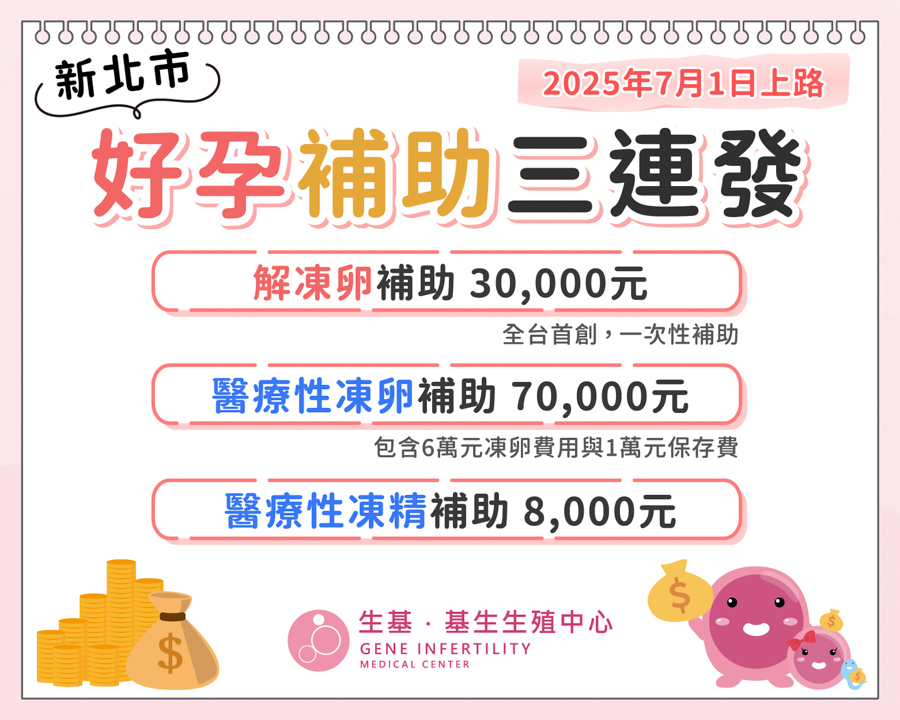 新北市2025生育補助_工作區域 1-2