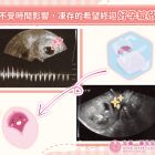 1141202張醫師_工作區域 1