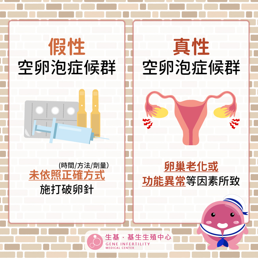 空卵泡症_工作區域 1 複本-3 空卵泡症_工作區域 1 複本-3