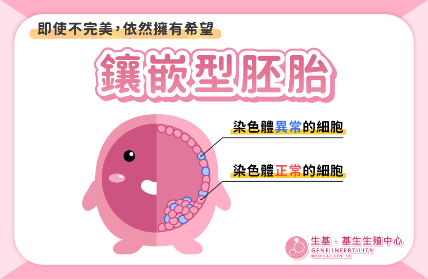 鑲嵌型胚胎_繁_封面圖 鑲嵌型胚胎_繁_封面圖