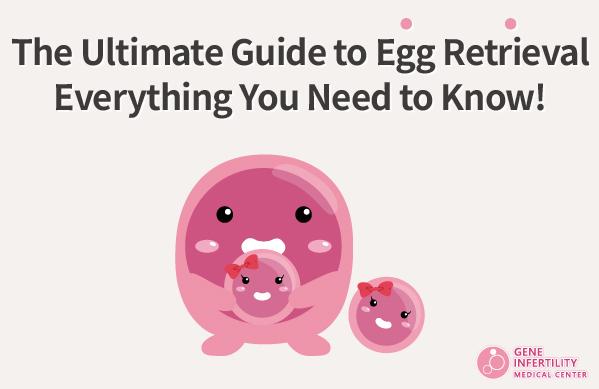 The Ultimate Guide to Egg Retrieval – Everything You Need to Know!