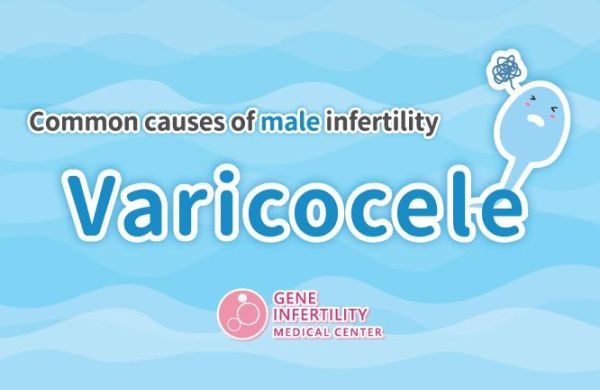 Common Cause of Male Infertility – Varicocele